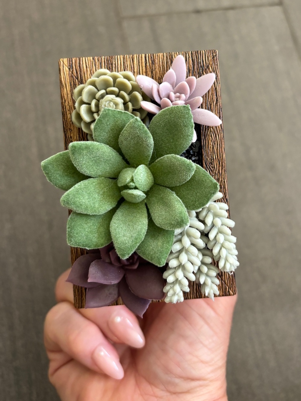 Bath & Body Works Succulent Wood Frame Wallflowers Fragrance Plug